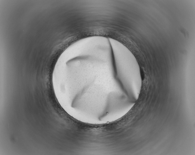 X0000113000306200909241307