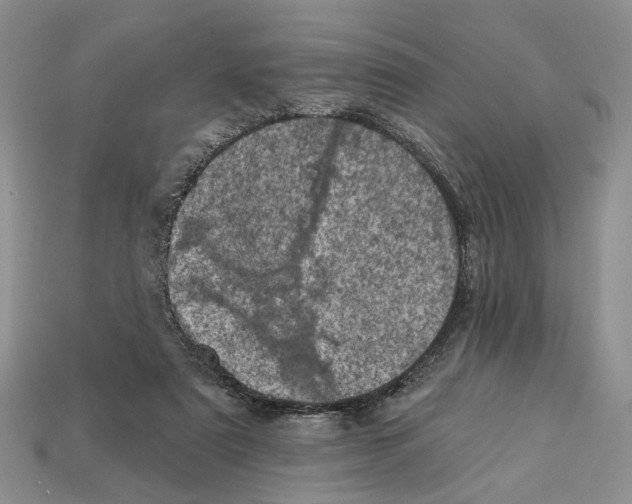 X0000113000307200909241307