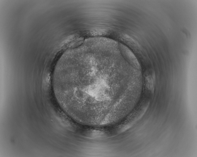 X0000113000308200909241307