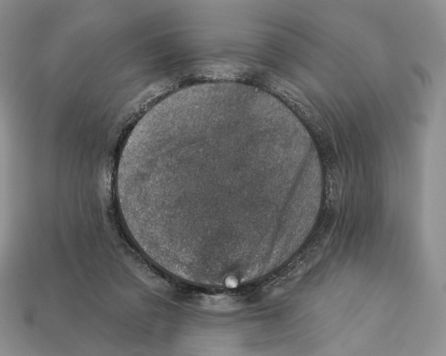 X0000113000309200909241307