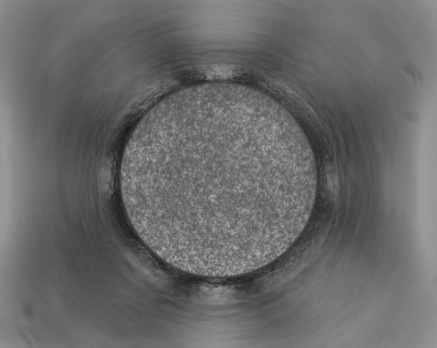 X0000113000311200909241307