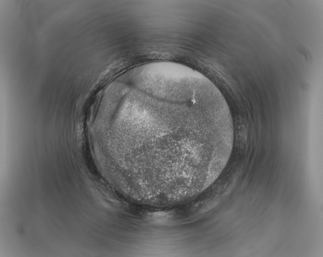 X0000113000312200909241307