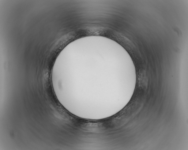 X0000113000314200909241307