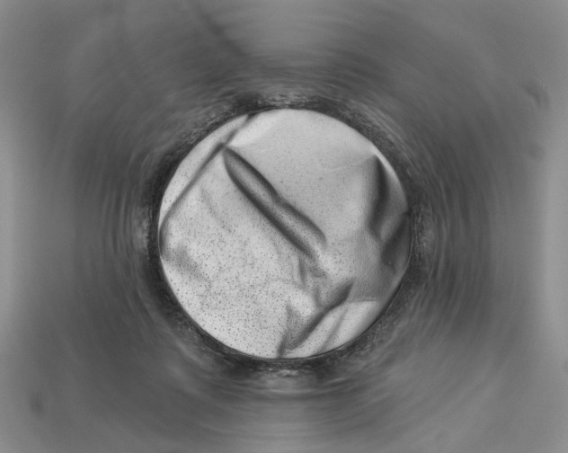 X0000113000315200909241307