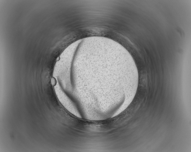 X0000113000318200909241307