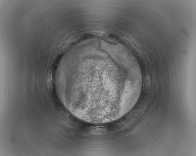 X0000113000320200909241307