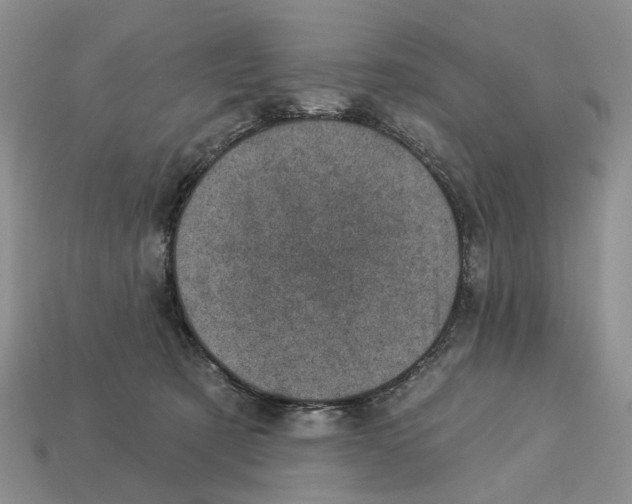 X0000113000321200909241307