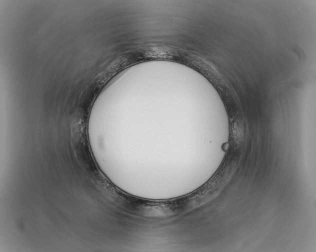 X0000113000322200909241307