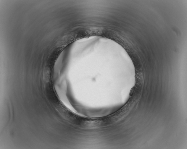 X0000113000323200909241307