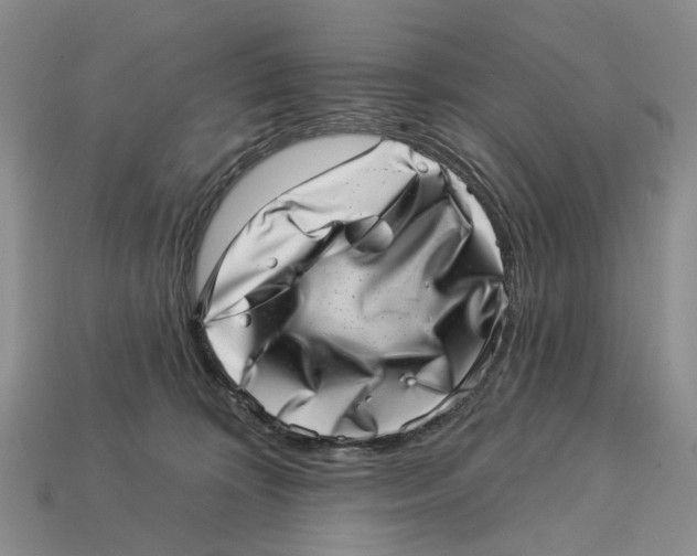 X0000113000324200909241307