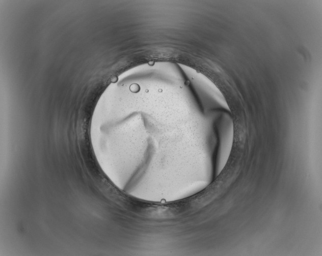 X0000113000326200909241307