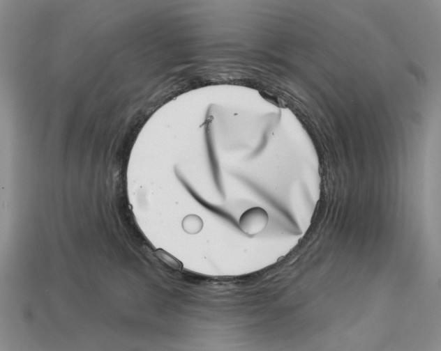 X0000113000327200909241307