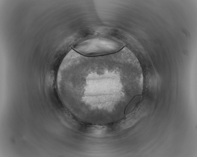 X0000113000328200909241307