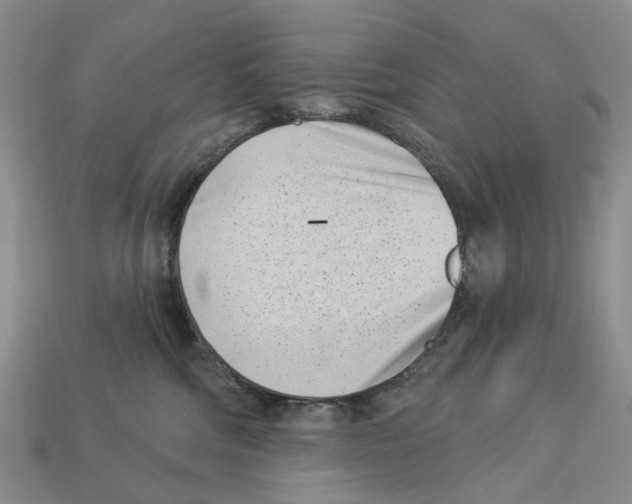 X0000113000330200909241306