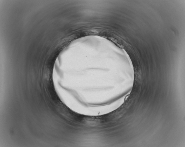 X0000113000331200909241306