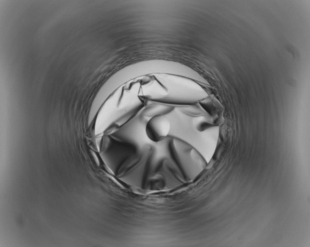 X0000113000332200909241306