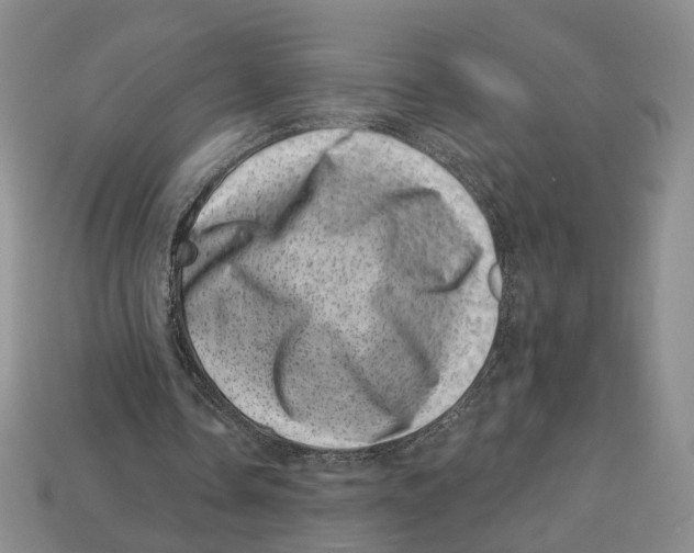 X0000113000338200909241306