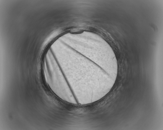 X0000113000344200909241306