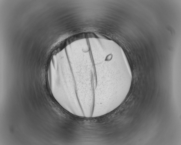 X0000113000345200909241306