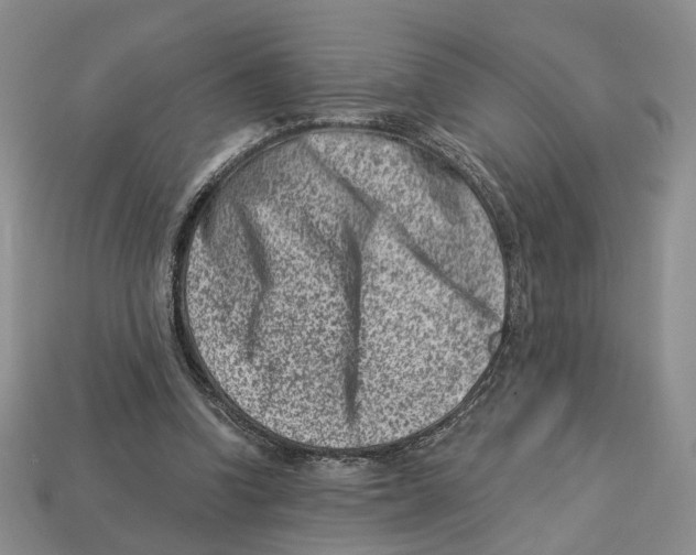 X0000113000346200909241306