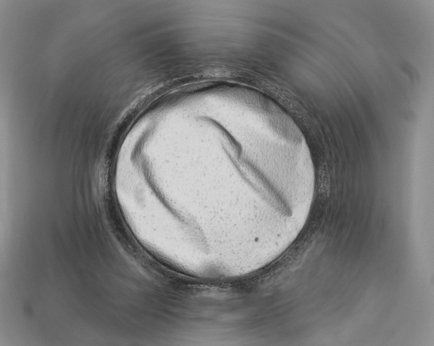 X0000113000347200909241306