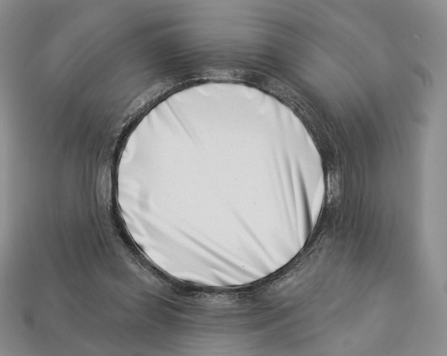 X0000113000349200909241306