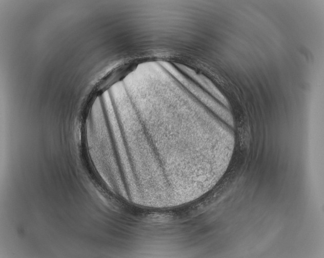 X0000113000350200909241306