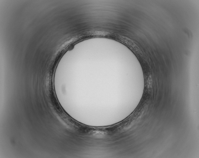 X0000113000352200909241306