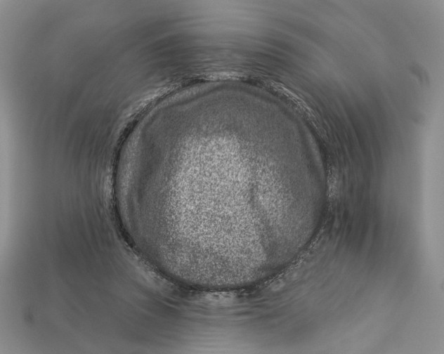 X0000113000353200909241306