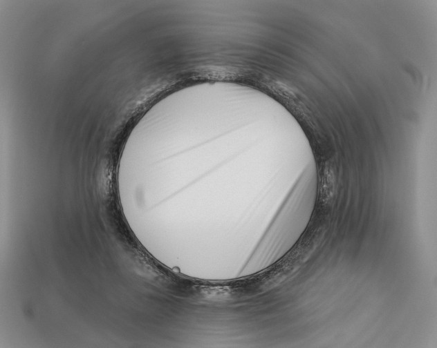 X0000113000355200909241306