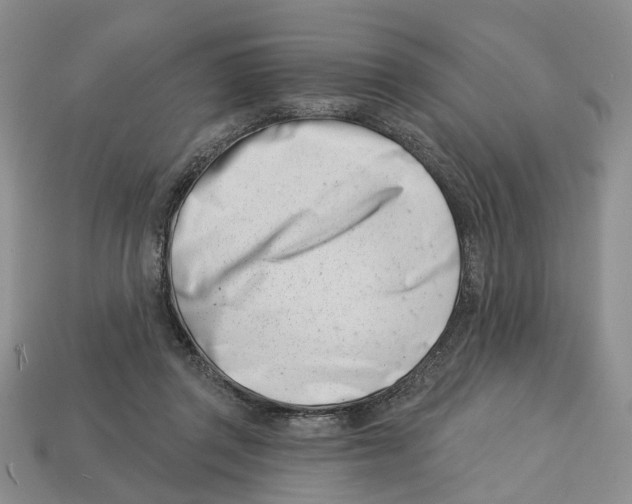 X0000113000357200909241306