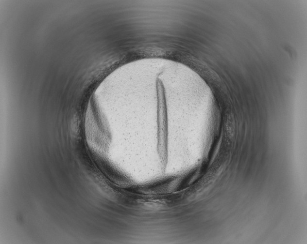 X0000113000359200909241306