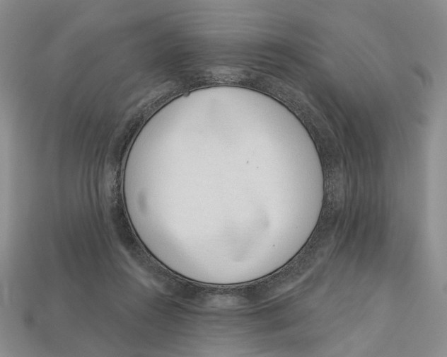 X0000113000360200909241306