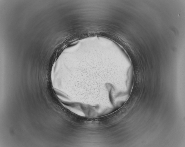 X0000113000362200909241306