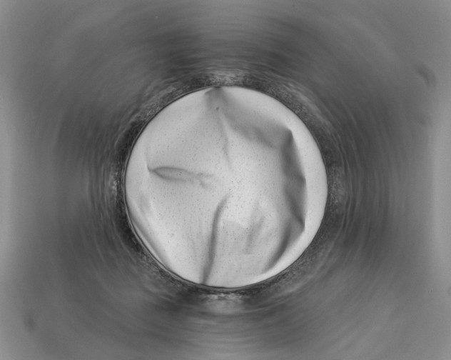 X0000113000363200909241306