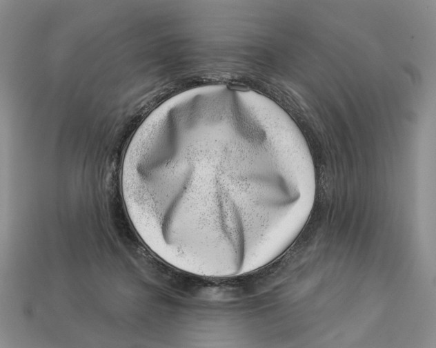 X0000113000364200909241306