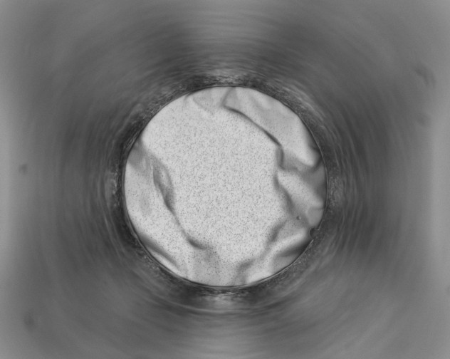 X0000113000365200909241306