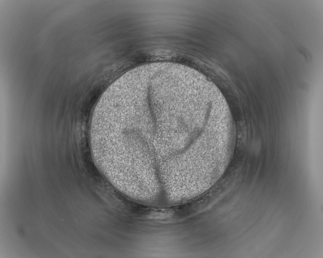 X0000113000369200909241306