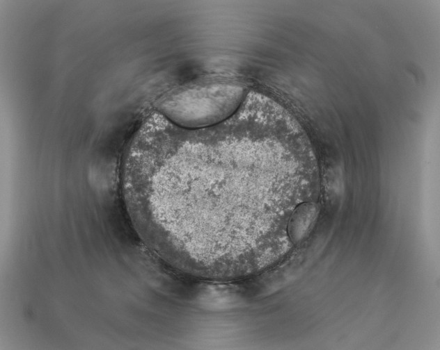 X0000113000372200909241306