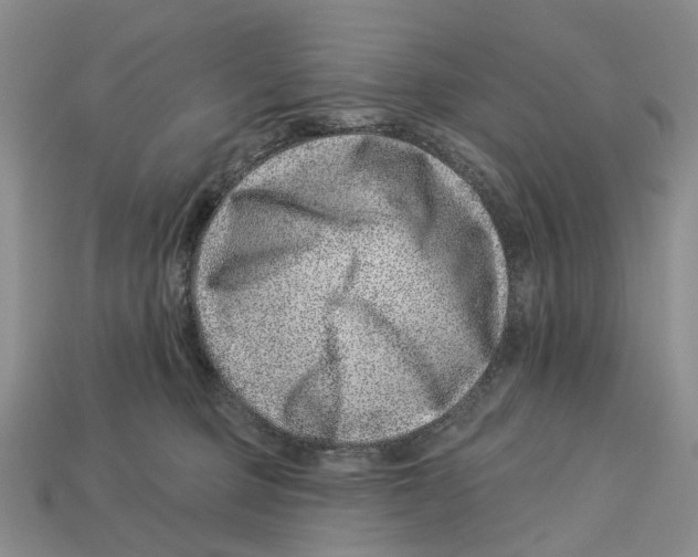 X0000113000373200909241306