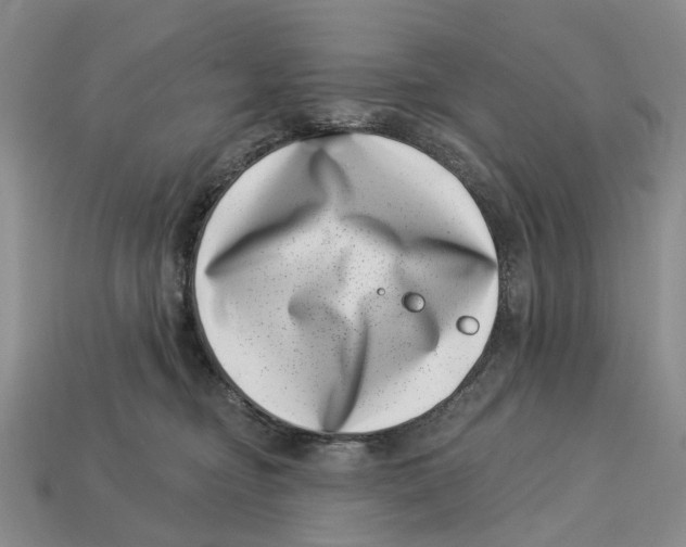 X0000113000374200909241306