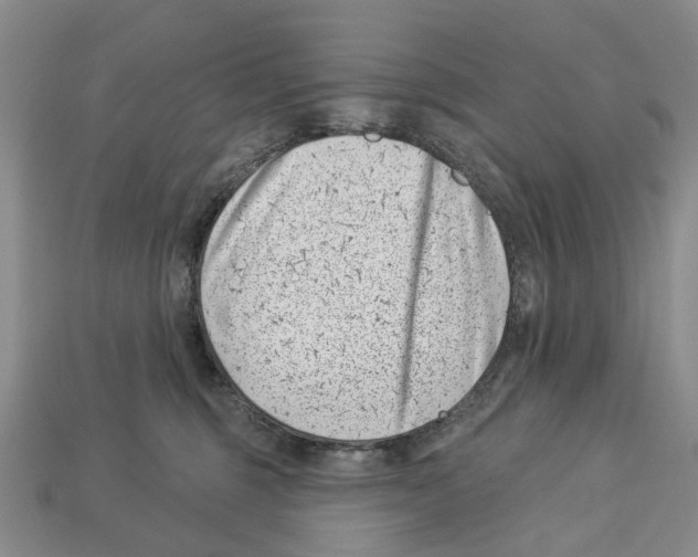 X0000113000375200909241306