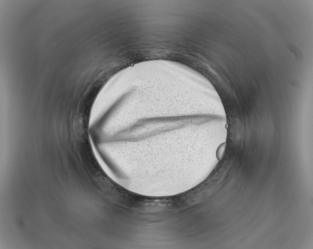 X0000113000378200909241306