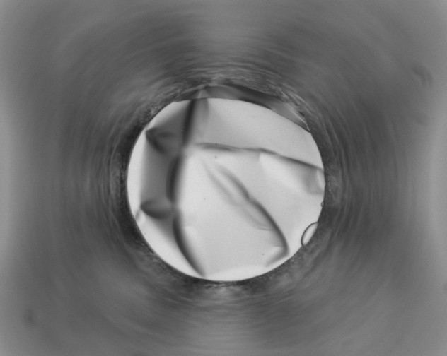 X0000113000379200909241306