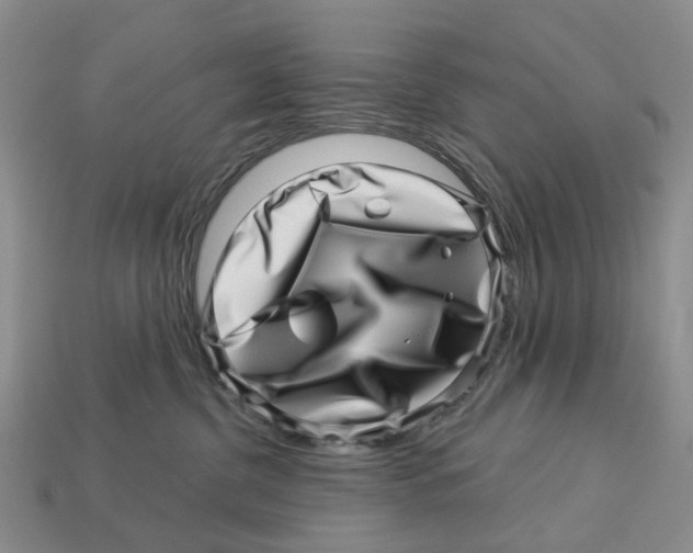 X0000113000380200909241306