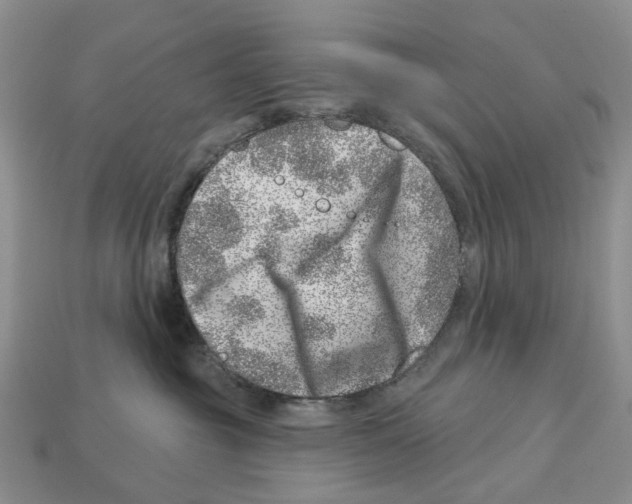 X0000113000381200909241306