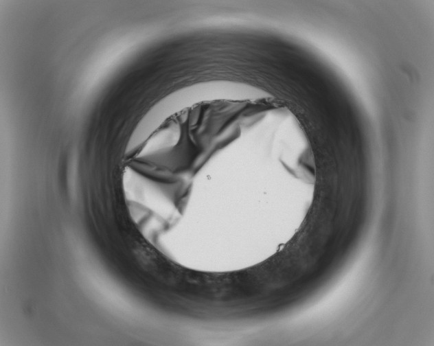 X0000113000382200909241306