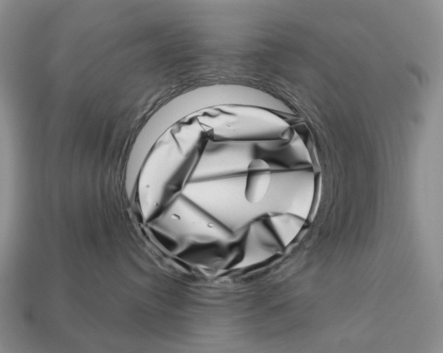 X0000113000384200909241306