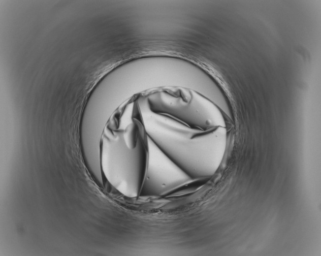 X0000113000385200909241306