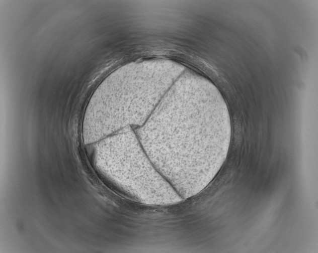 X0000113000386200909241306